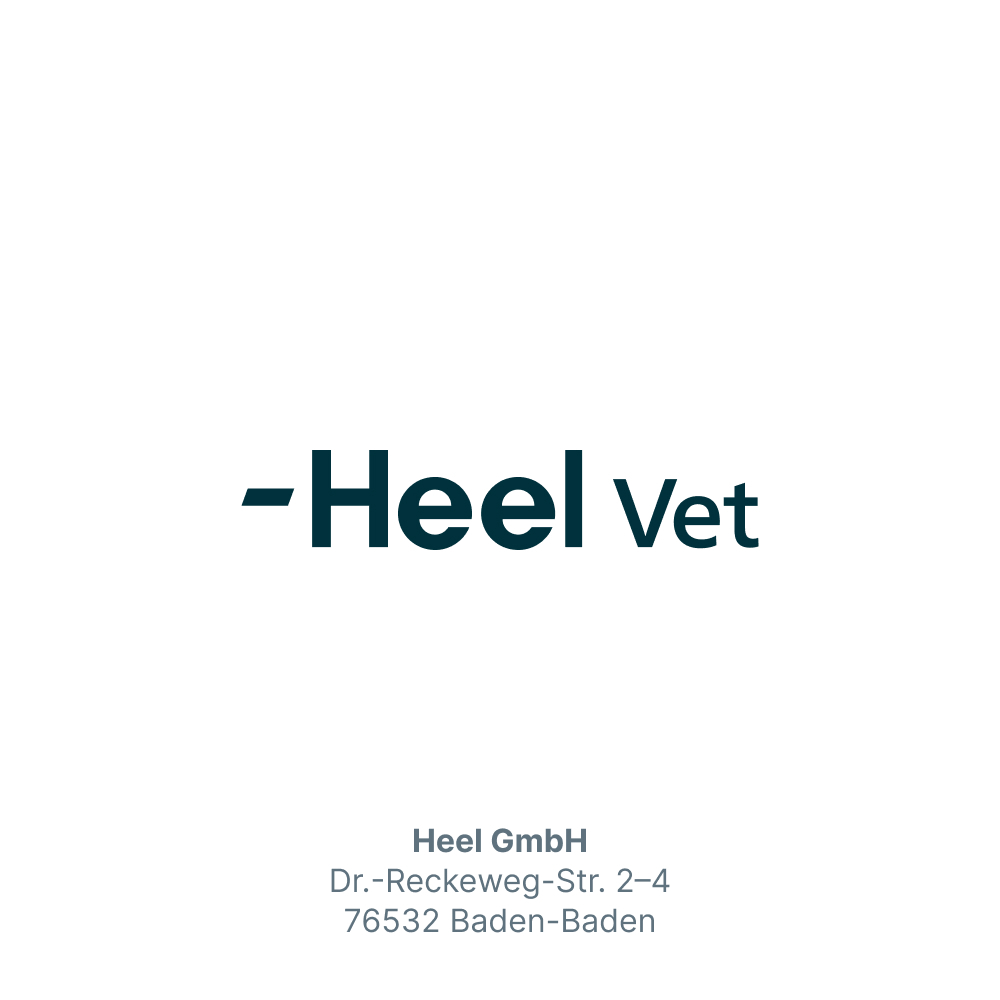 MOBEEL vet. 150 g Pulver