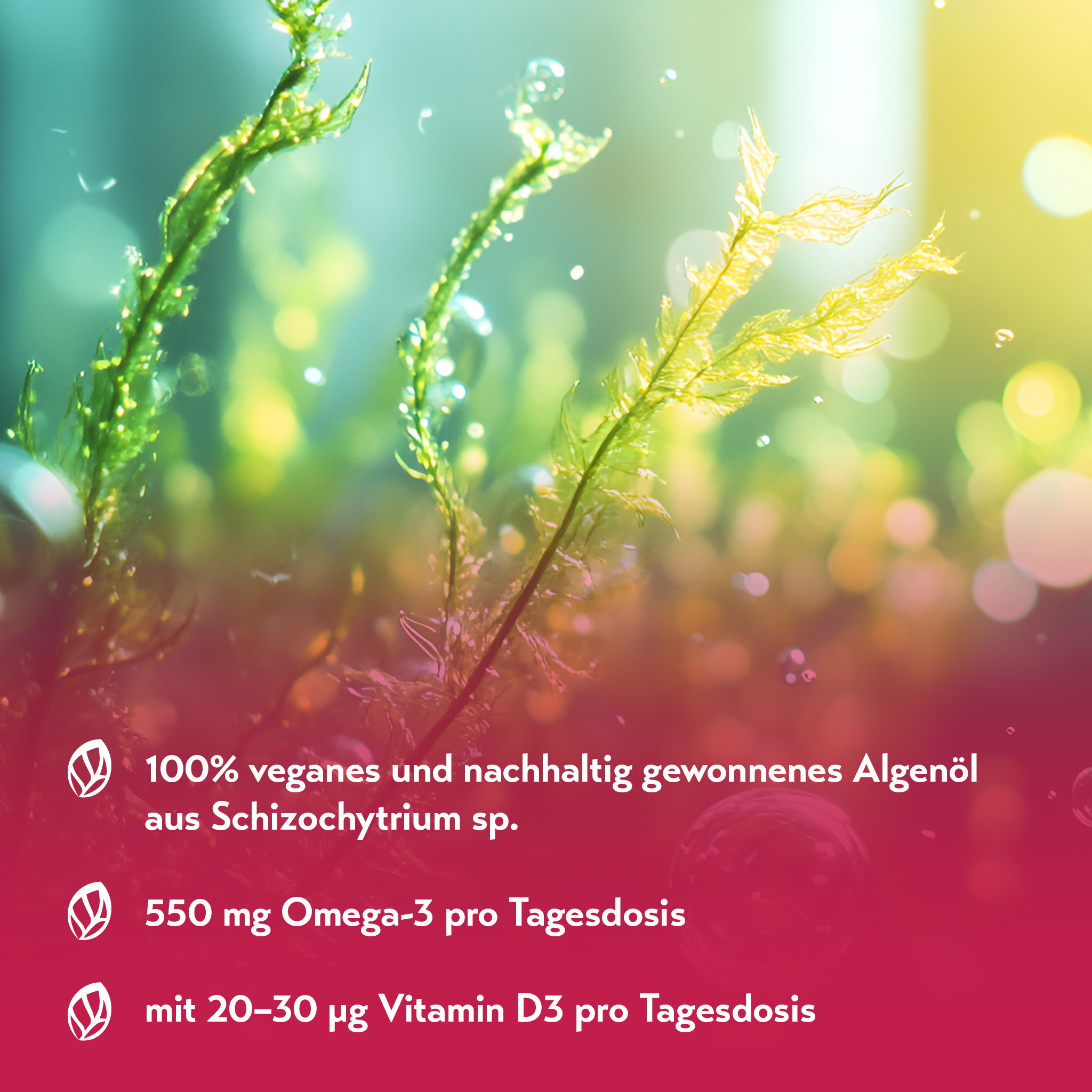 pureSGP OMEGA-3 ÖL 150 ml Tropfen