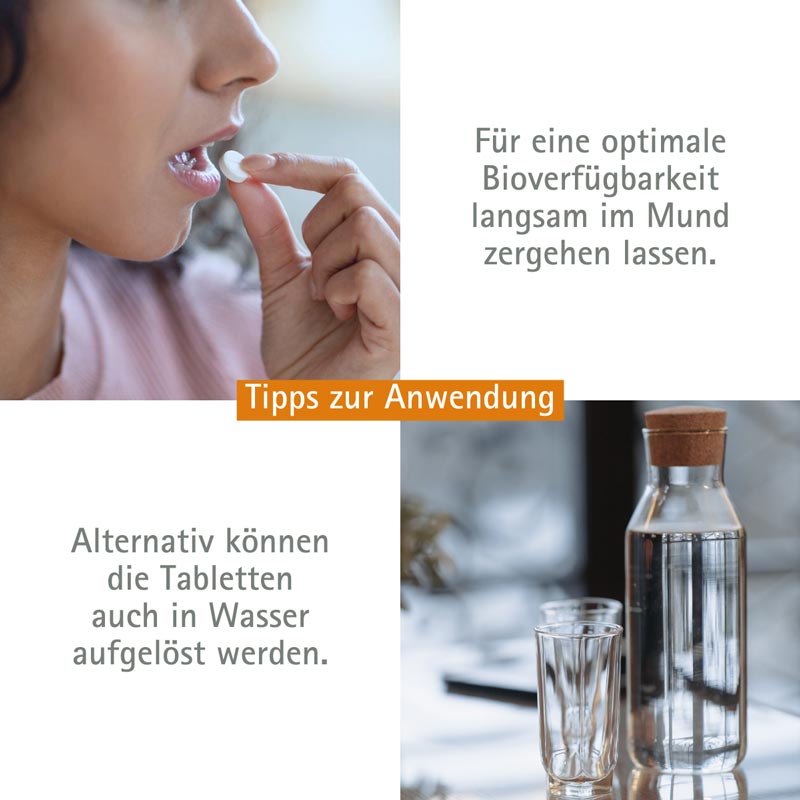 Schüßler-Salz Nr. 4 Kalium chloratum D6 100 St Tabletten