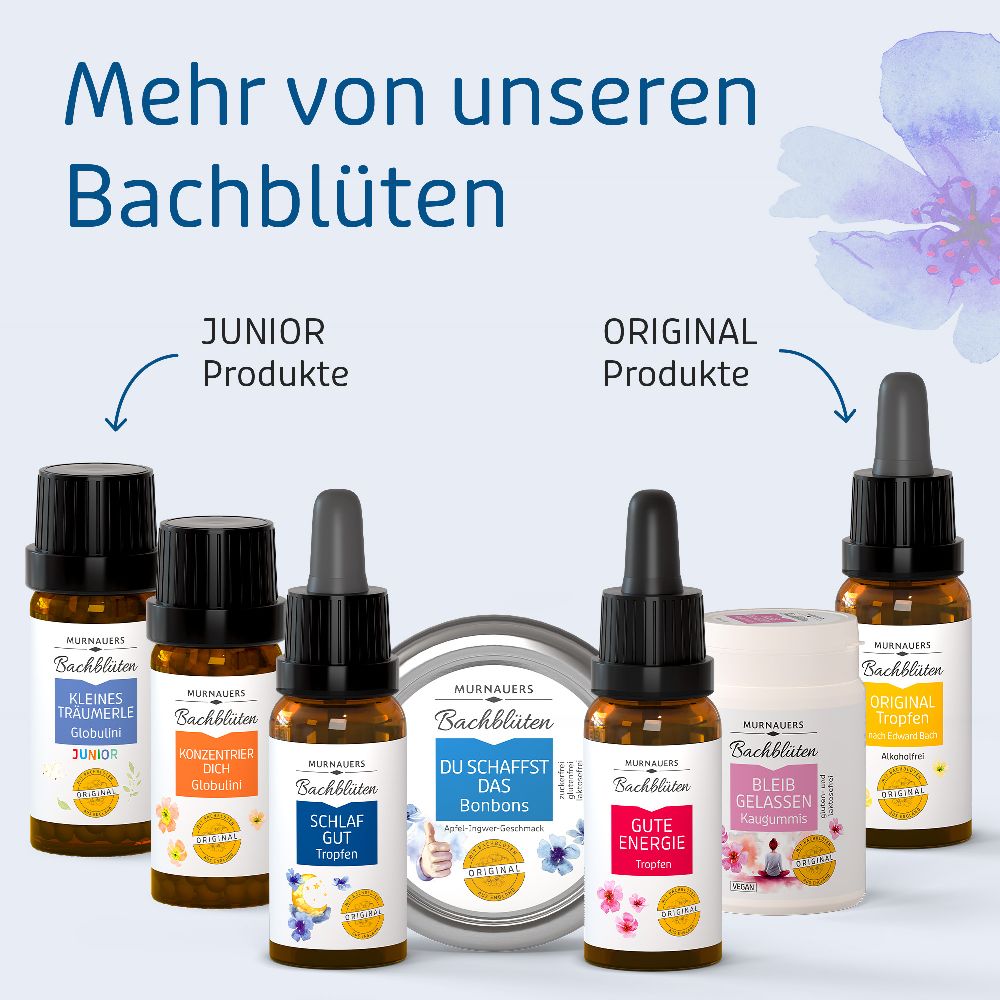 MURNAUERS Bachblüten Schlaf Gut Tropfen 20 ml Tropfen