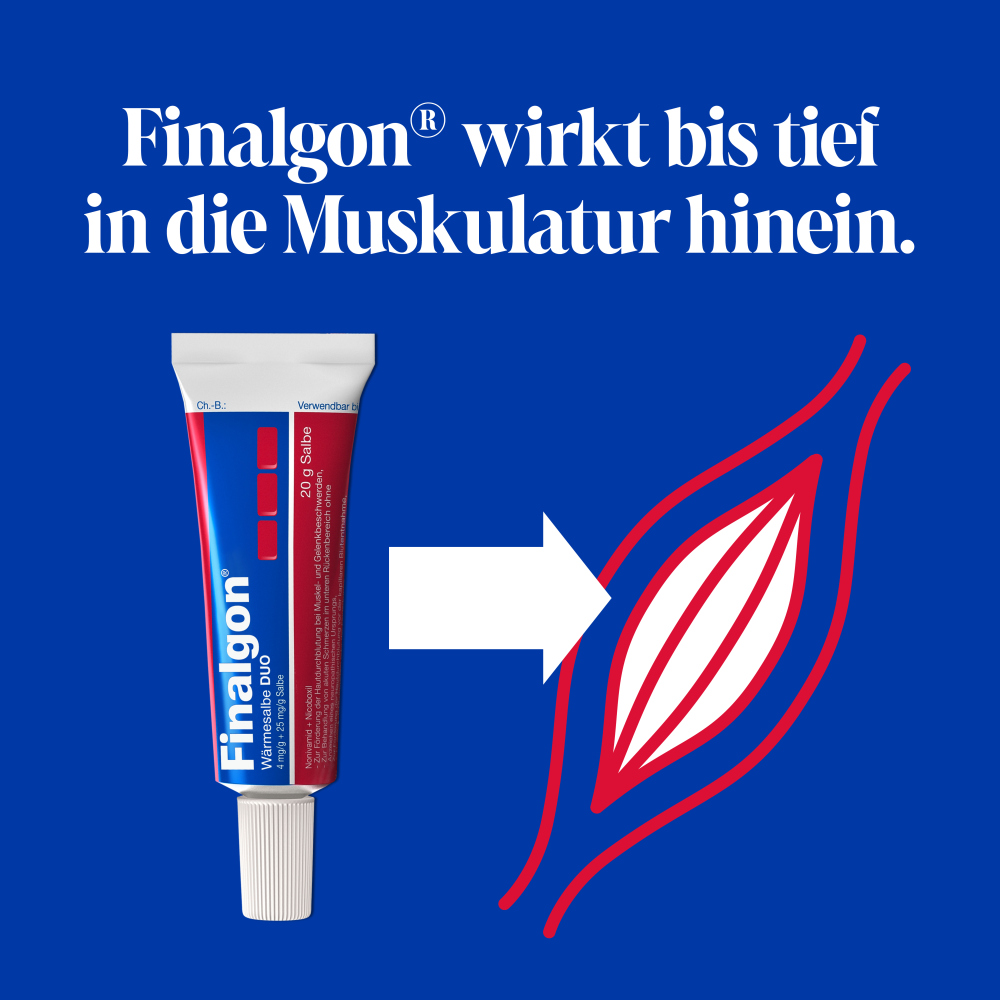 Finalgon Wärmesalbe DUO 20 g Salbe