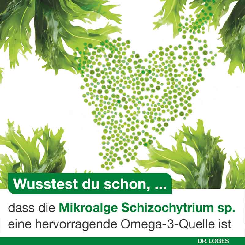 omega3-Loges pflanzlich 120 St Kapseln