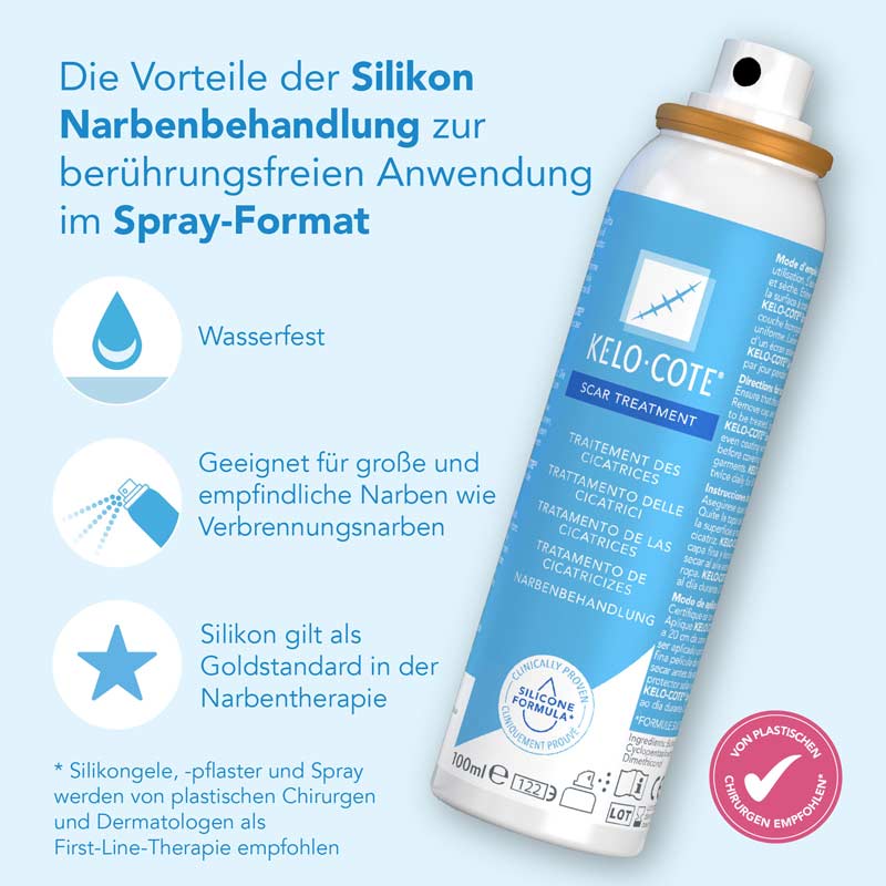 KELO-COTE Silikonspray 100 ml Spray