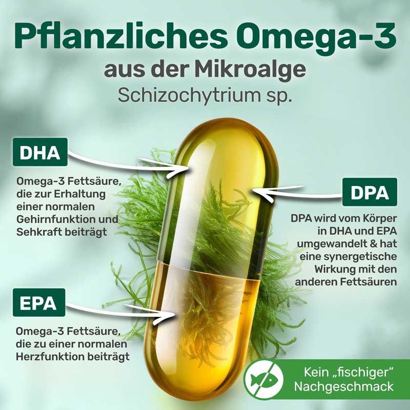 Glycowohl protect Omega-3 pflanzlich 917 mg 60 St Kapseln