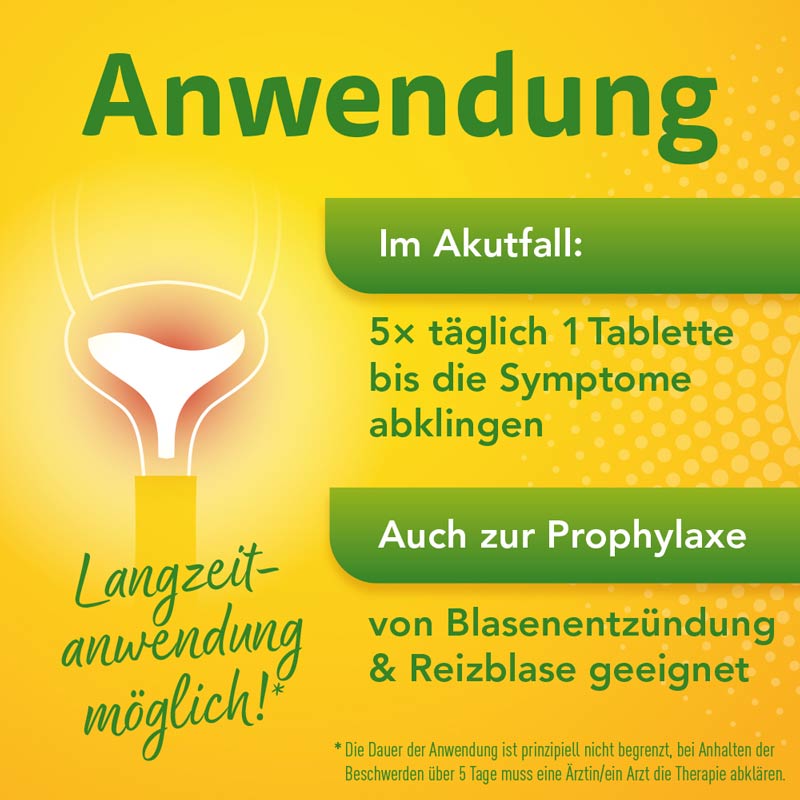 Solidago Aristo 300mg Tabletten  60 St Tabletten