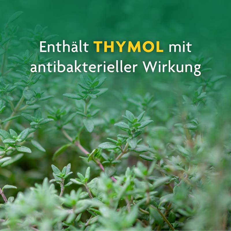 Schoenenberger Naturreiner Heilpflanzensaft Thymian 200 ml Saft