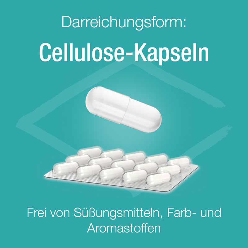 Basenpulver Verla purKaps 60 St Kapseln