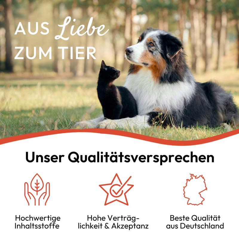 PHA Floh & Zecken Stopp 100 ml Spray