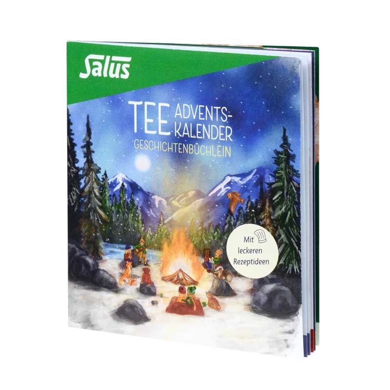 Salus TEE ADVENTS-KALENDER 4er Set 4X24 St Filterbeutel