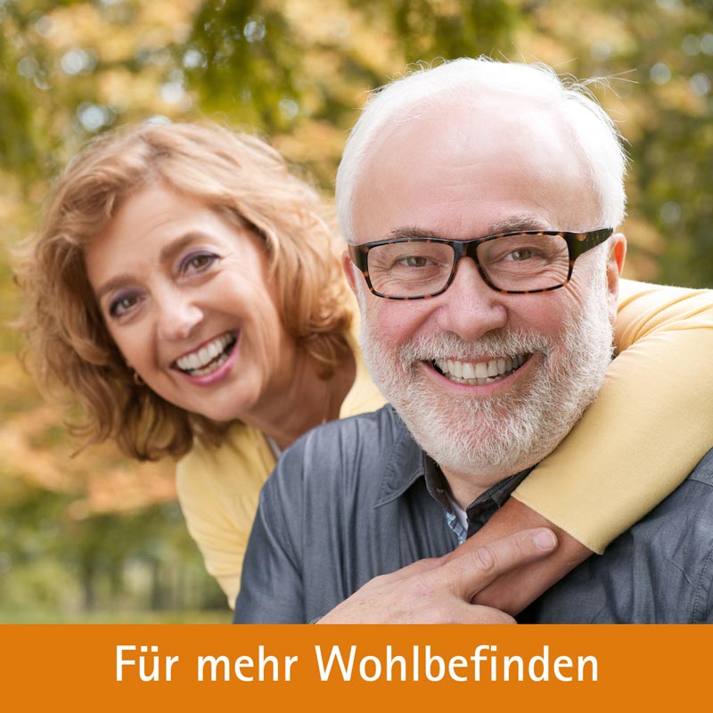 Schüßler-Salz Nr. 4 Kalium chloratum D6 100 St Tabletten