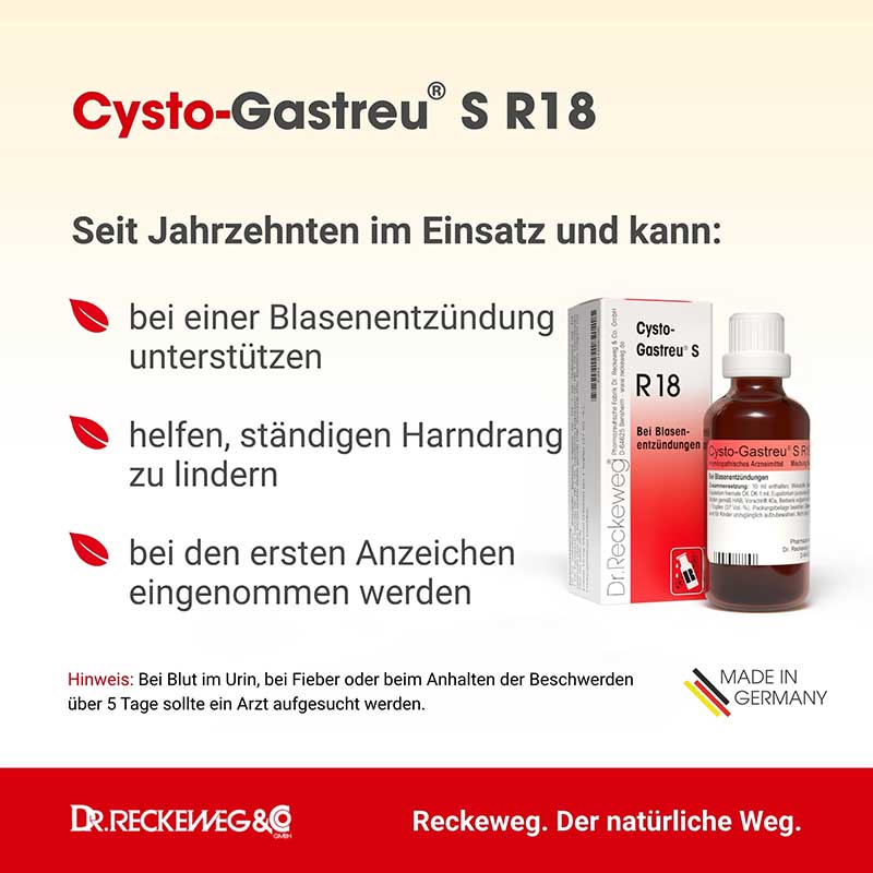 CYSTO GASTREU S R 18 Tropfen zum Einnehmen 50 ml Mischung