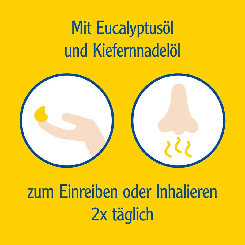 Pinimenthol Erkältungsbalsam mild ab 2 Jahren - mit Eucalyptus- und Kiefernnadelöl 50 g Salbe