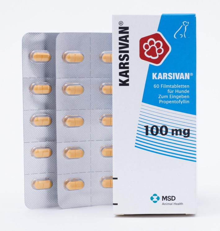 KARSIVAN 100mg  60 St Filmtabletten