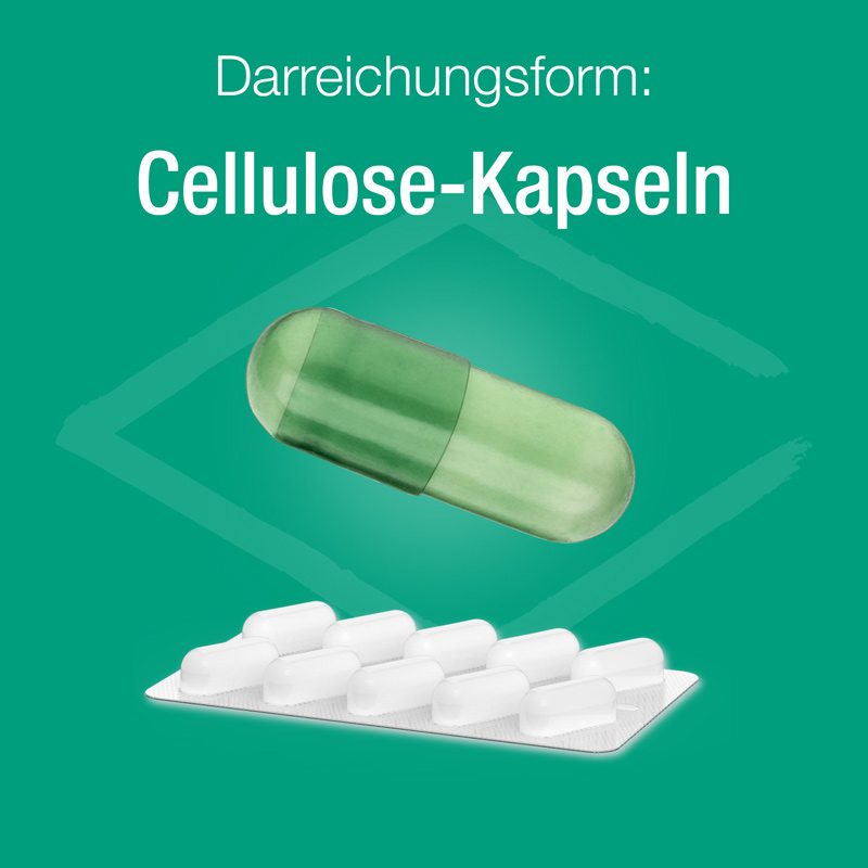 Zink Verla immun 40 St Kapseln