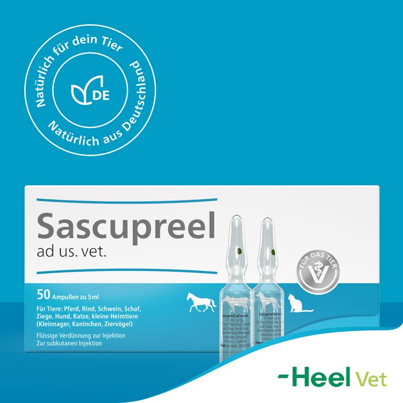 Sascupreel ad us. vet 50X5 ml Ampullen