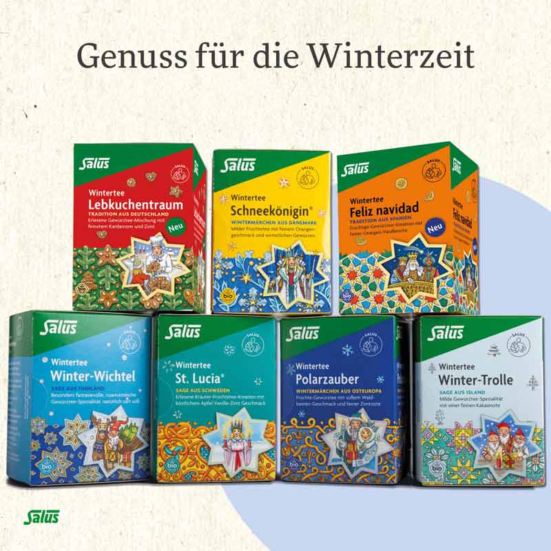 Salus Wintertee Lebkuchentraum 15 St Filterbeutel