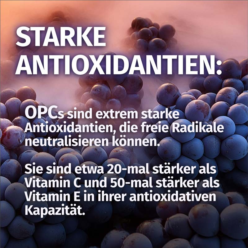 GREEN NATURALS OPC 1000 mg 180 St Kapseln