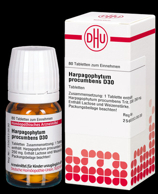 HARPAGOPHYTUM PROCUMBENS D 30 Tabletten 80 St Tabletten