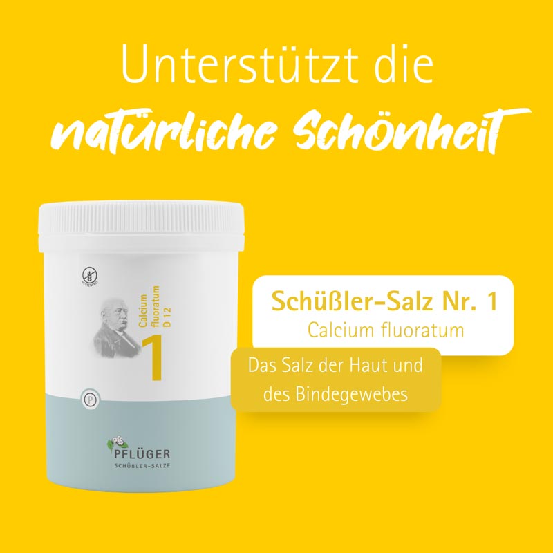 Schüßler-Salz Nr. 1 Calcium fluoratum D12 1000 St Tabletten