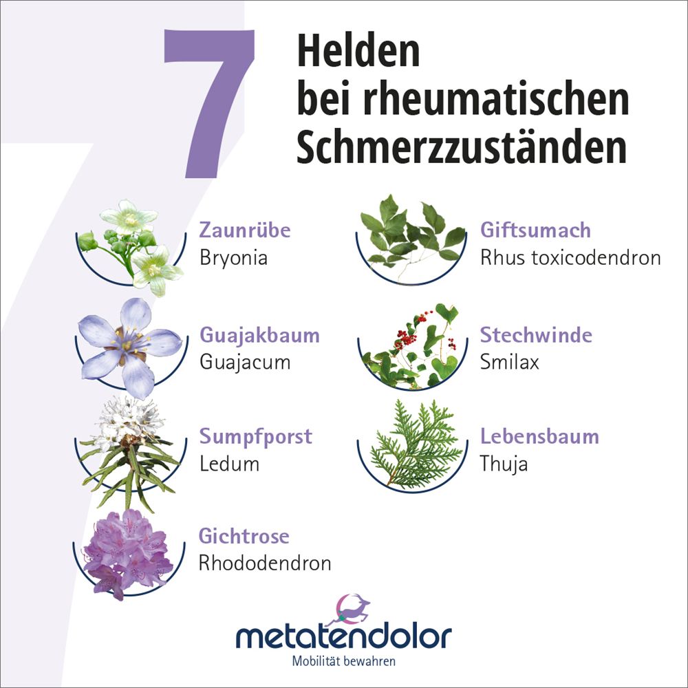 METATENDOLOR Tropfen zum Einnehmen 100 ml Mischung