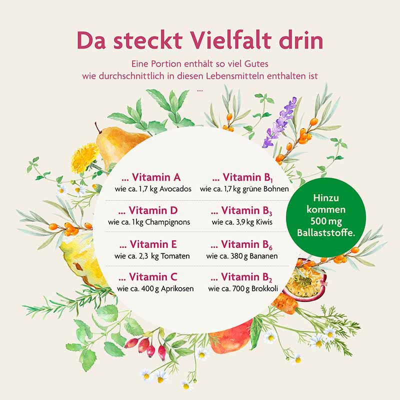 Salus ONE ESSENCE 75 ELEMENTS FRUITY 250 ml Elixier