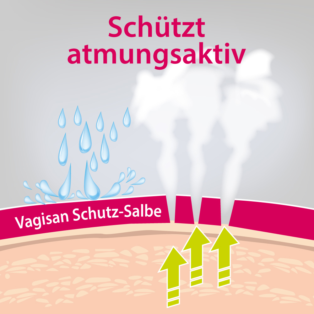Vagisan Schutz-Salbe - Intimcreme 75 ml Salbe