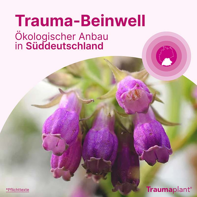 Traumaplant Schmerzcreme 100 g Creme