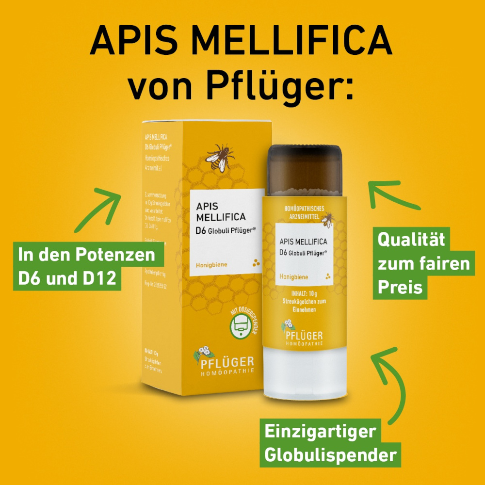 Apis mellifica D6 Globuli Pflüger 10 g Globuli