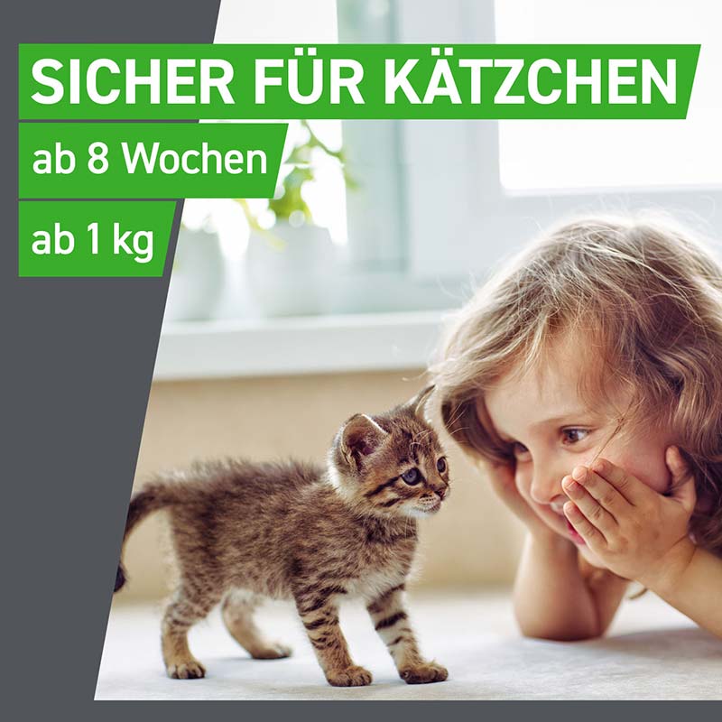 FRONTLINE COMBO 3 Stk. der Kombischutz für Tier und Heim gegen Zecken, Flöhe und Haarlinge bei Katzen und Frettchen 3 St Lösung