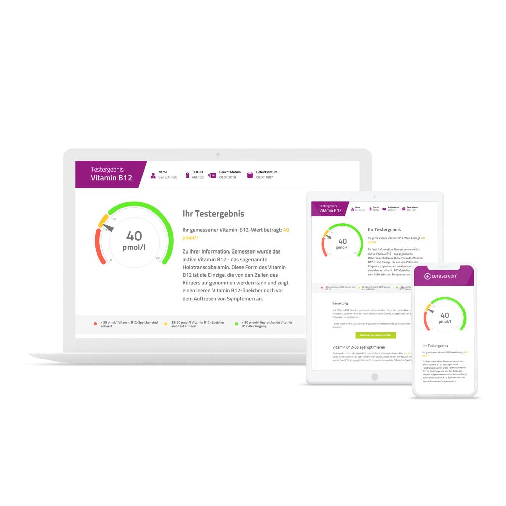 cerascreen Vitamin B12 Testkit 1 St Test