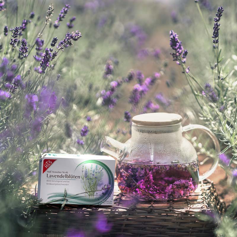 H&S Arzneitee Lavendelblüten 20X1.0 g Filterbeutel