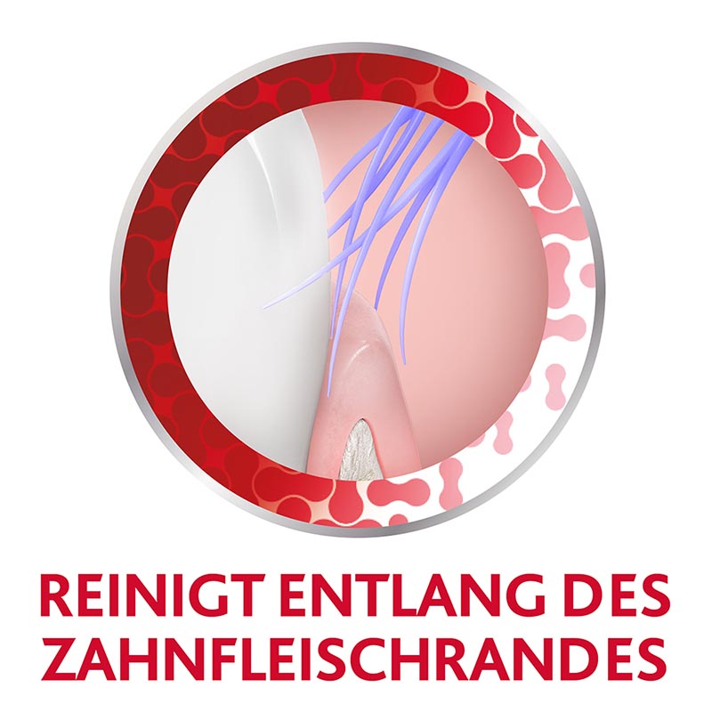 PARODONTAX Complete Protection Zahnbürste 1 St Zahnbürste