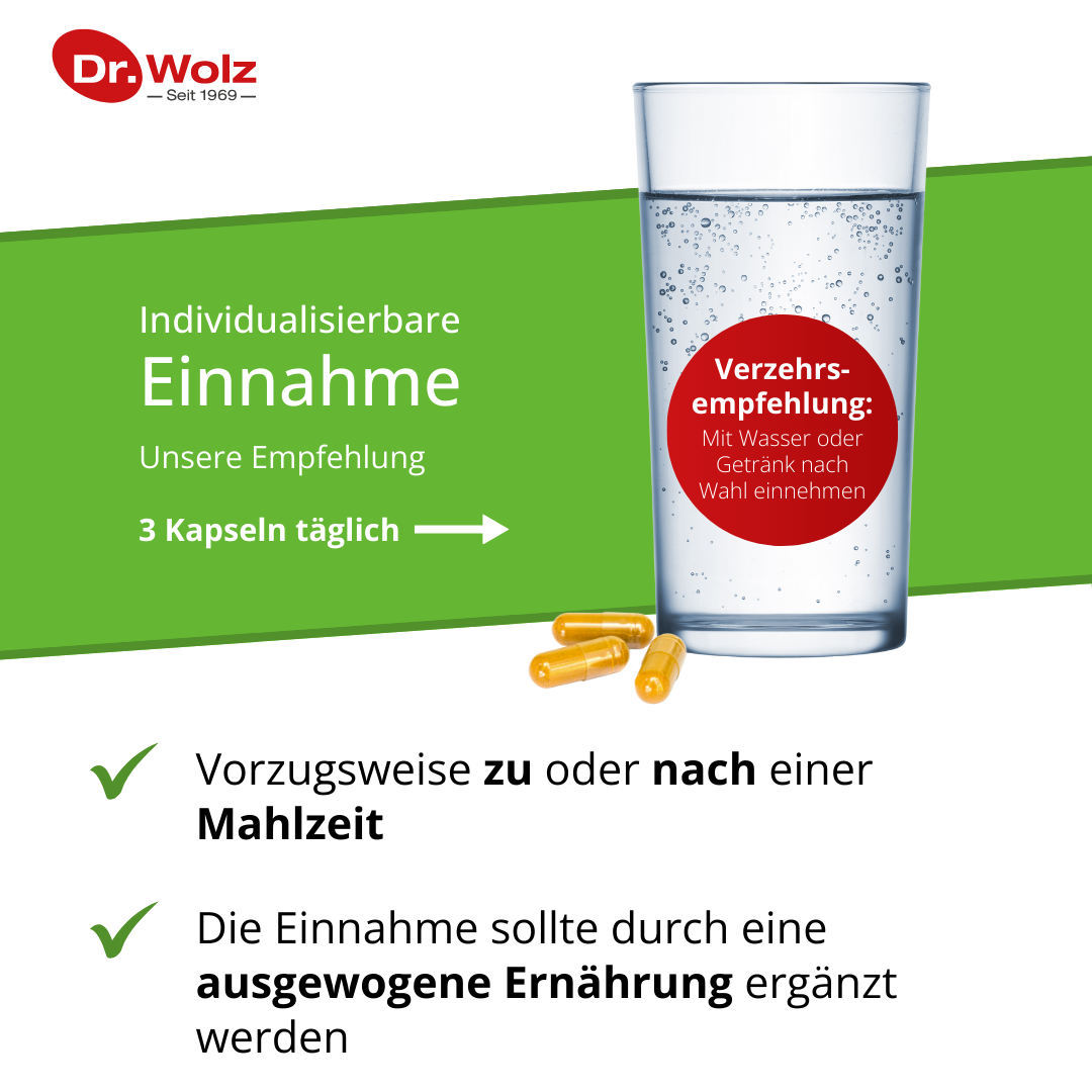 Dr. Wolz Curcumin Extrakt 45 90 St Kapseln