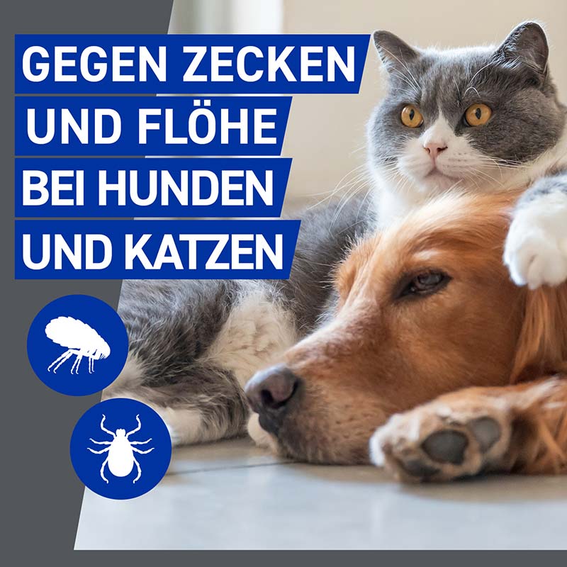 FRONTLINE Spray gegen Zecken und Flöhe für Hunde und Katzen 100 ml Spray