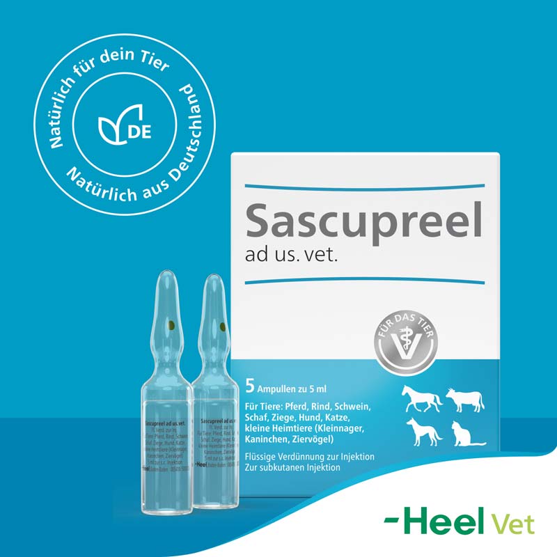 Sascupreel Ad Us Vet 5X5 ml Ampullen