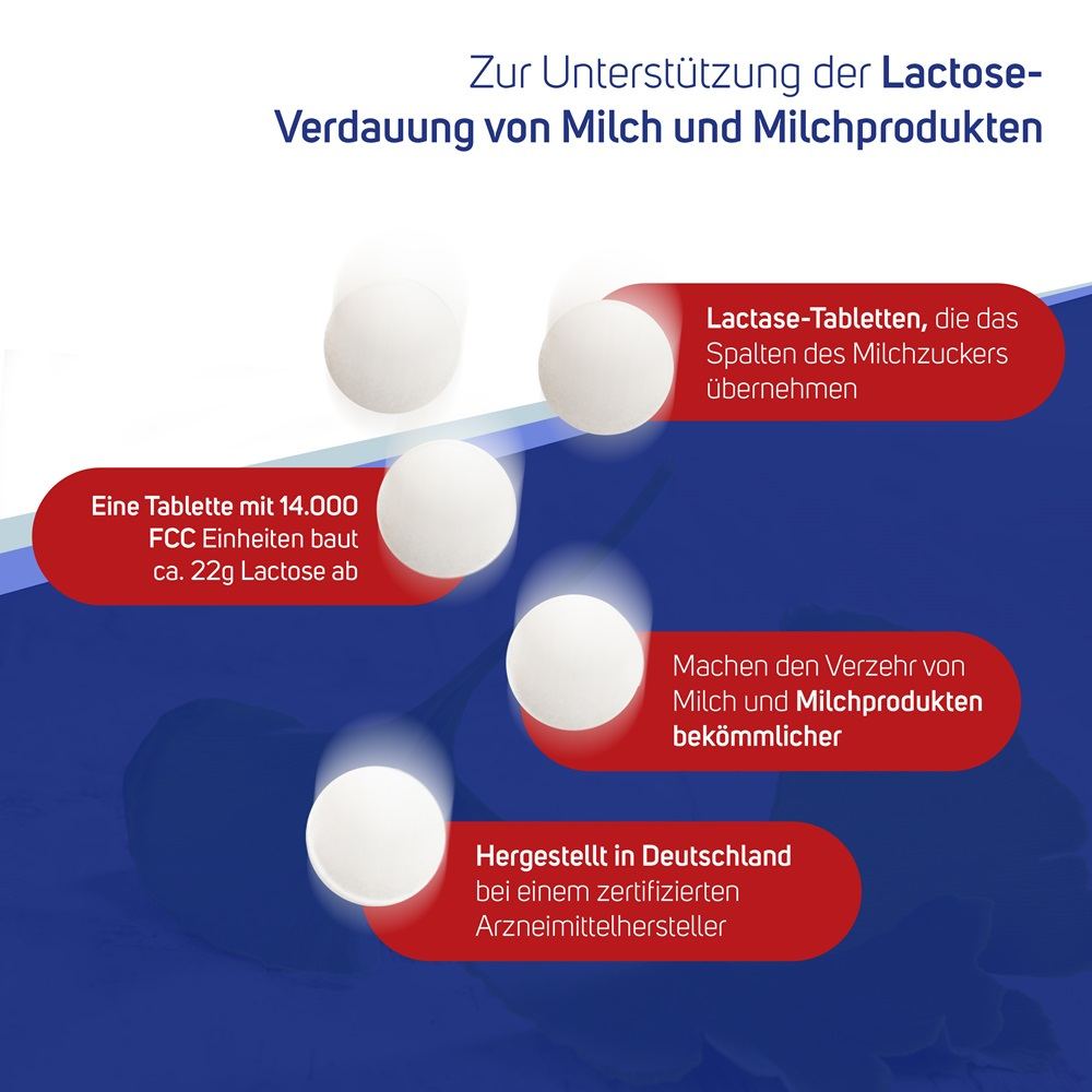 Avitale Lactase 14000 FCC 80 St Tabletten