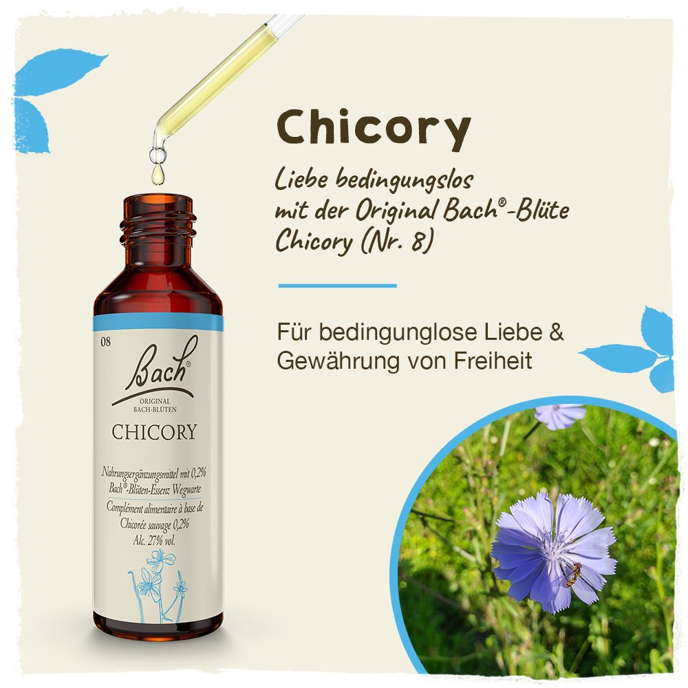 BACHBLÜTEN Original Chicory Nr.8 20 ml Tropfen