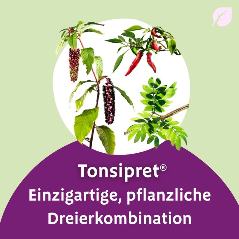 TONSIPRET Tropfen 50 ml Tropfen