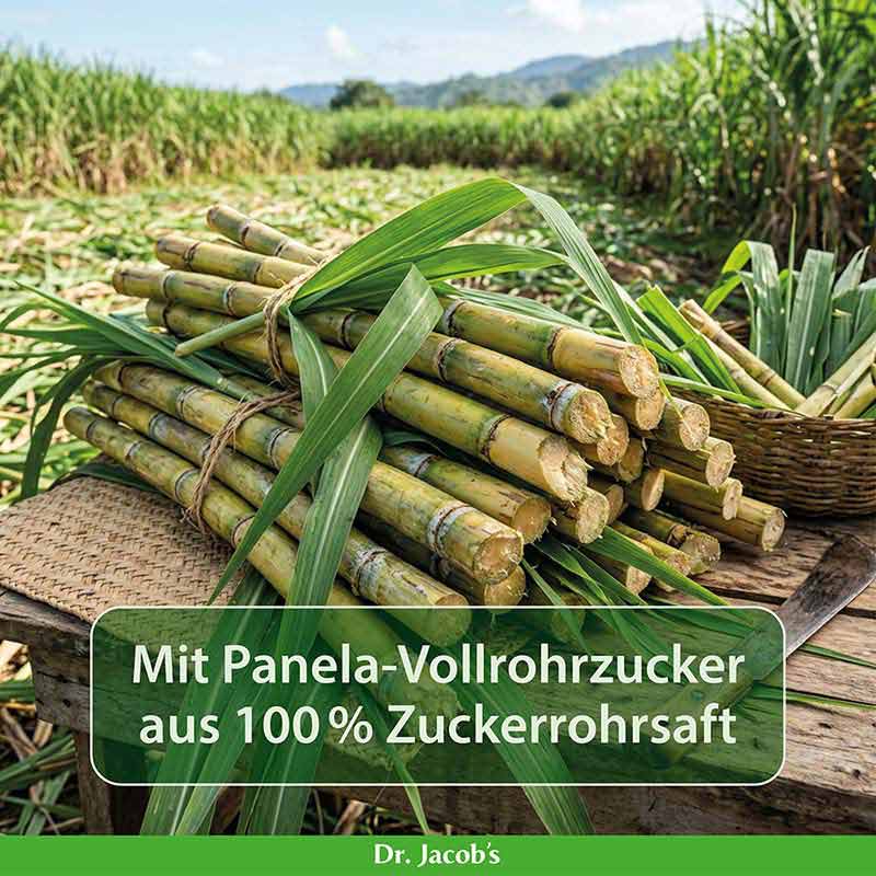 Dr. Jacob's SteviaBase Zuckerersatz Erythrit Xylit Stevia
