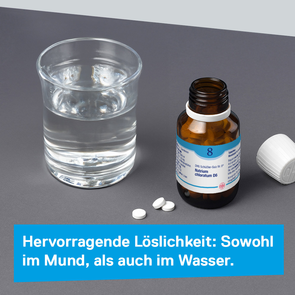 DHU Schüßler-Salz Nr. 8 Natrium chloratum D6 420 St Tabletten