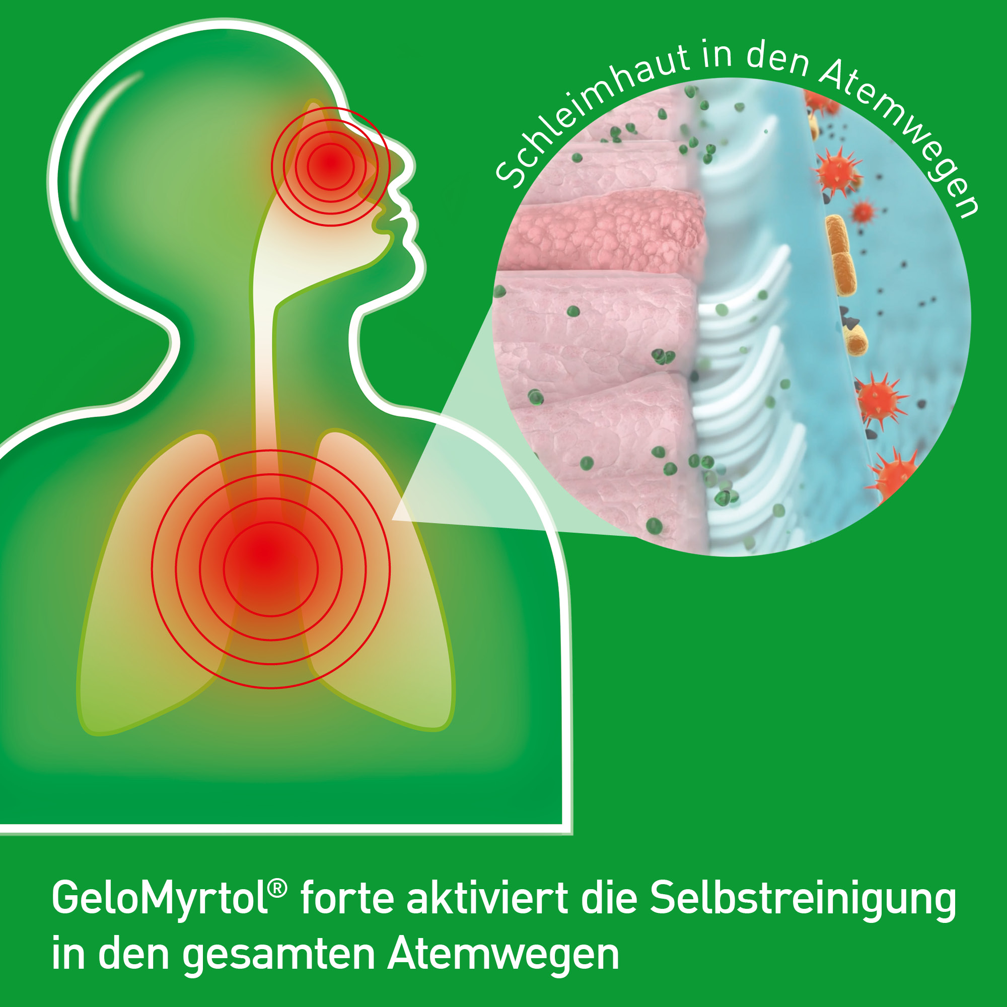 Gelomyrtol & Gelotonsil Erkältungsset 1 St Sparset