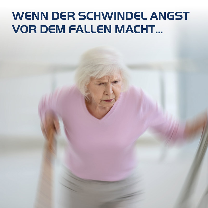 VERTIGO HEVERT SL Bei Schwindel 260 St Tabletten