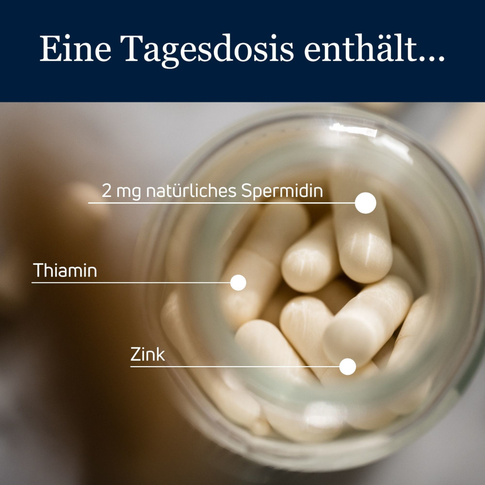 spermidineLIFE Original 365+ 60 St Kapseln