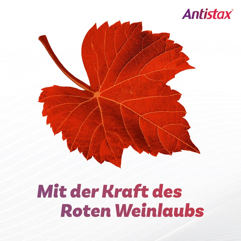 Antistax Venencreme, bei müden, schweren Beinen, Venenschwäche & Krampfadern 100 g Creme