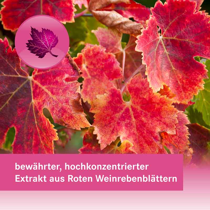 Heumann ANTIVENO Venentabletten 360 mg  90 St Filmtabletten