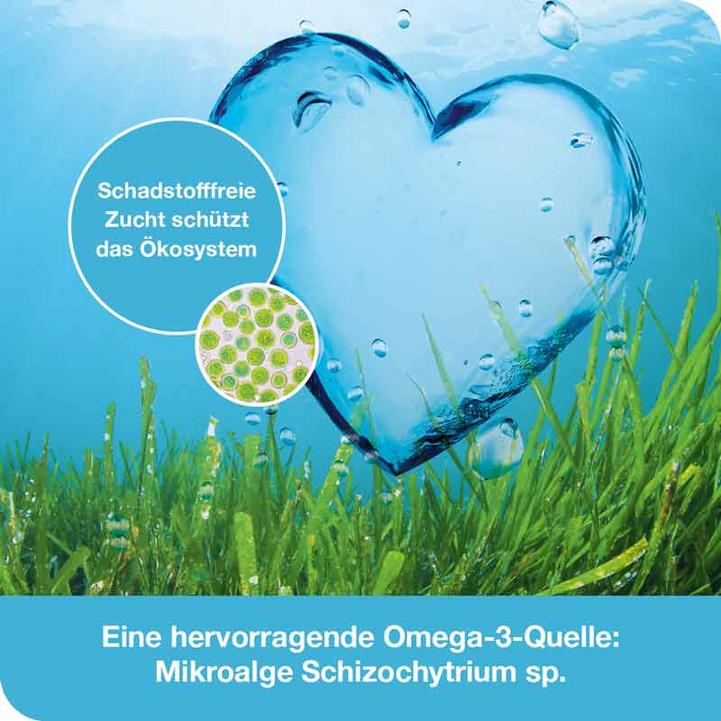 omega3-Loges pflanzlich 120 St Kapseln