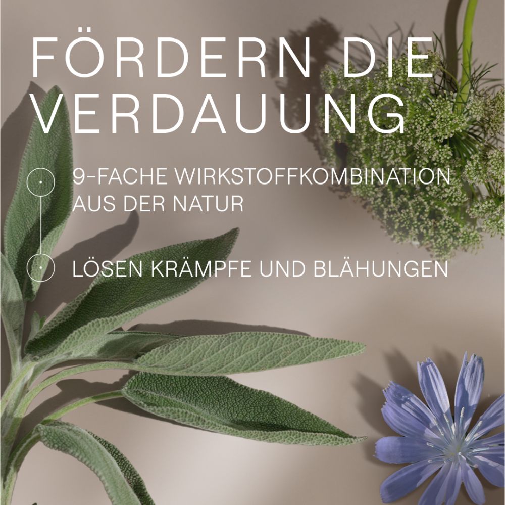 WELEDA AMARA-TROPFEN 50 ml Dilution