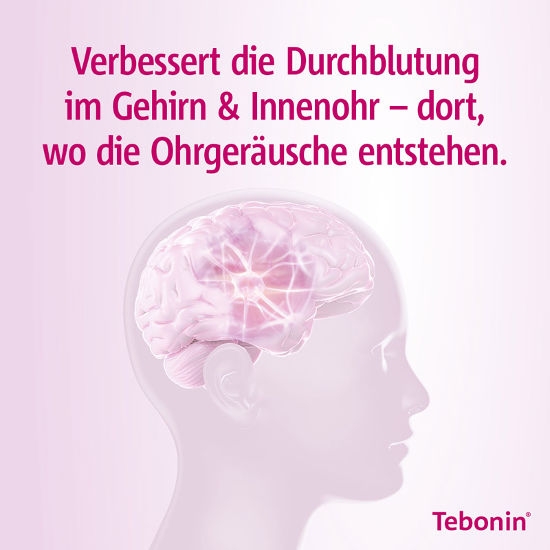 Tebonin intens 120mg 60 St Filmtabletten