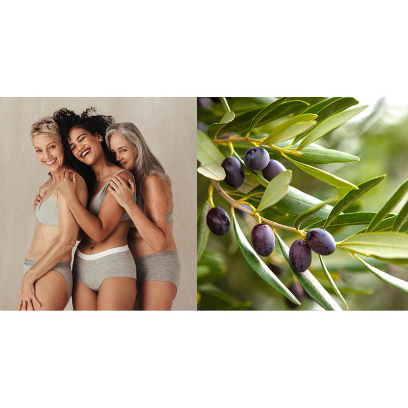 PLANTANA Pflegeduschbad Olive 500 ml Duschgel