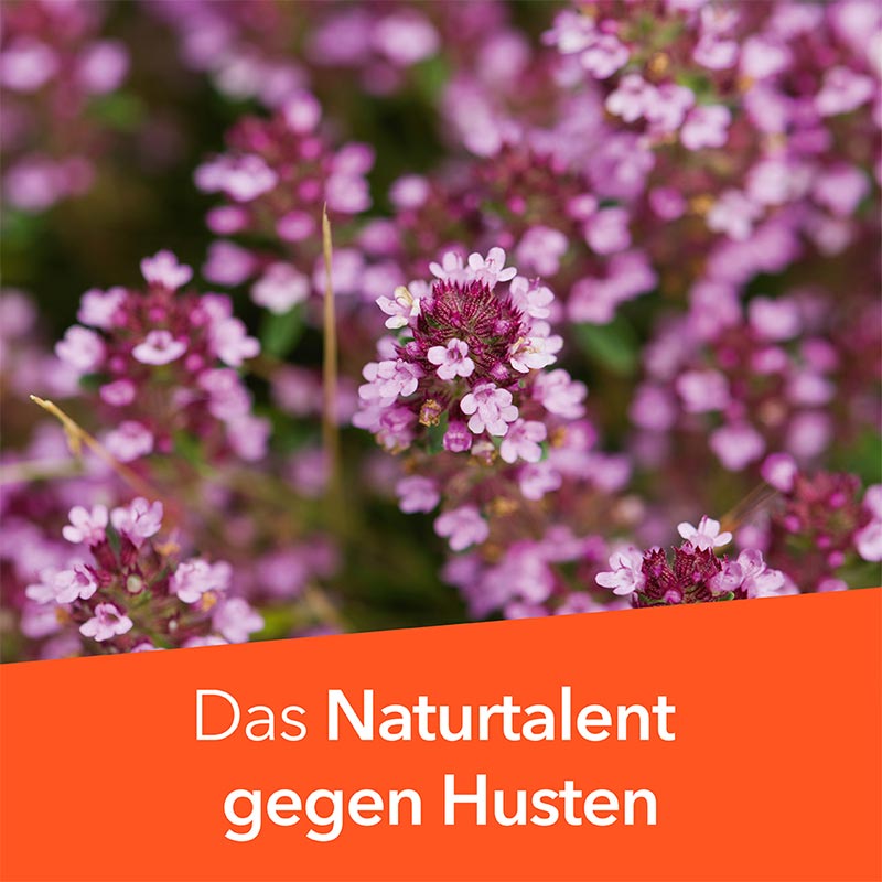 Tussamag Hustensaft N 200 g Flüssigkeit zum Einnehmen